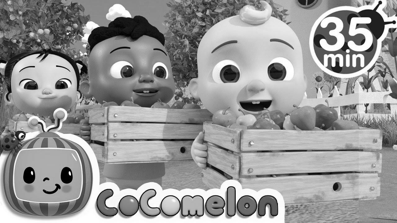 Learn to Depend with Apples + Extra Nursery Rhymes & Youngsters Songs – CoComelon