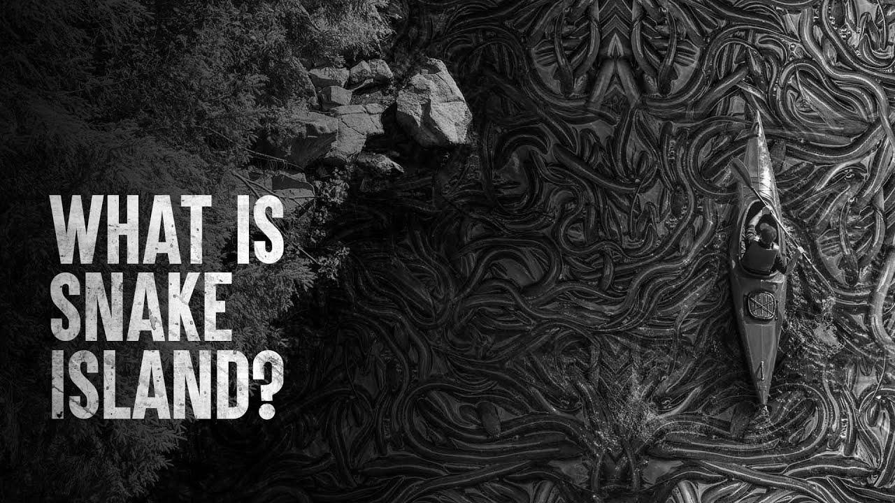 {How to|The way to|Tips on how to|Methods to|Easy methods to|The right way to|How you can|Find out how to|How one can|The best way to|Learn how to|} Survive Snake Island